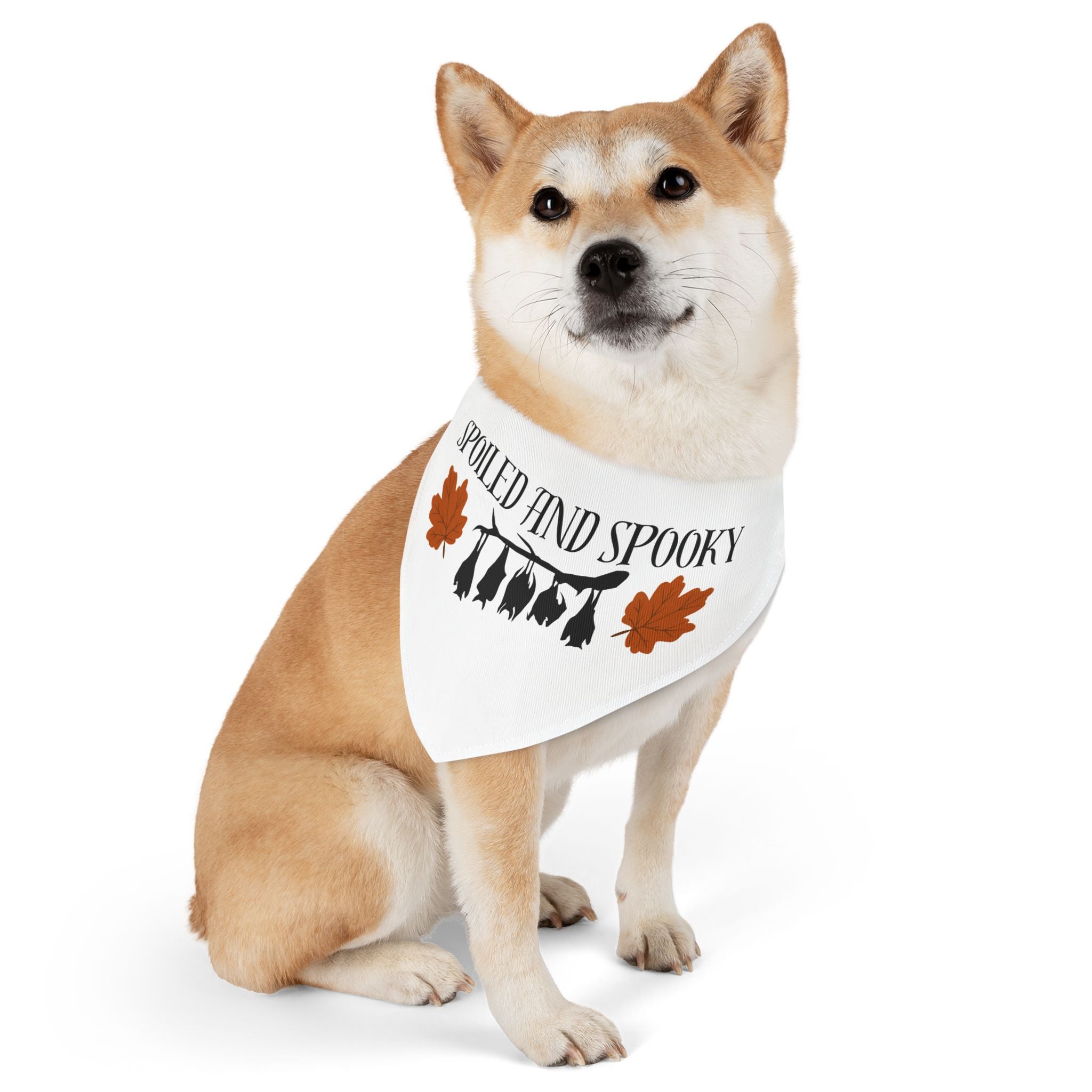 Spooky and Spoiled Pet Bandana Collar