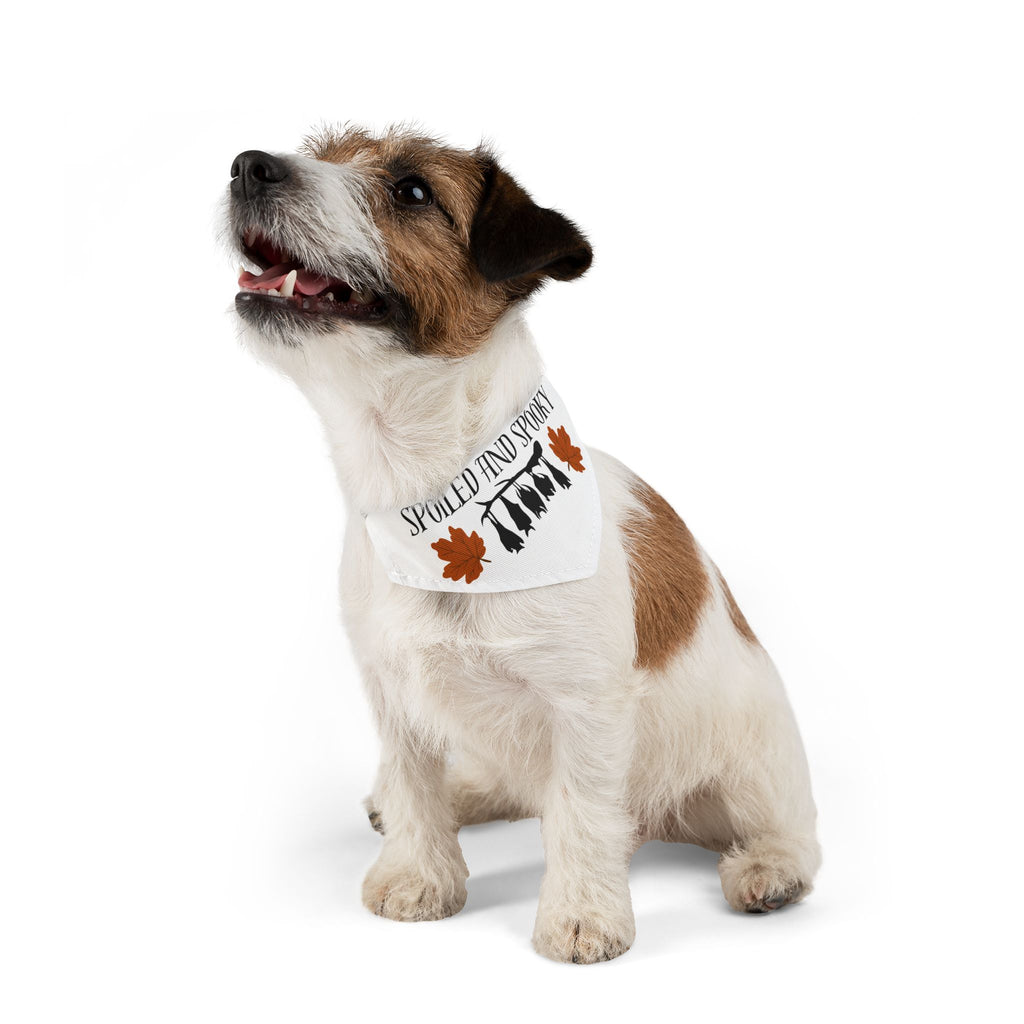 Spooky and Spoiled Pet Bandana Collar