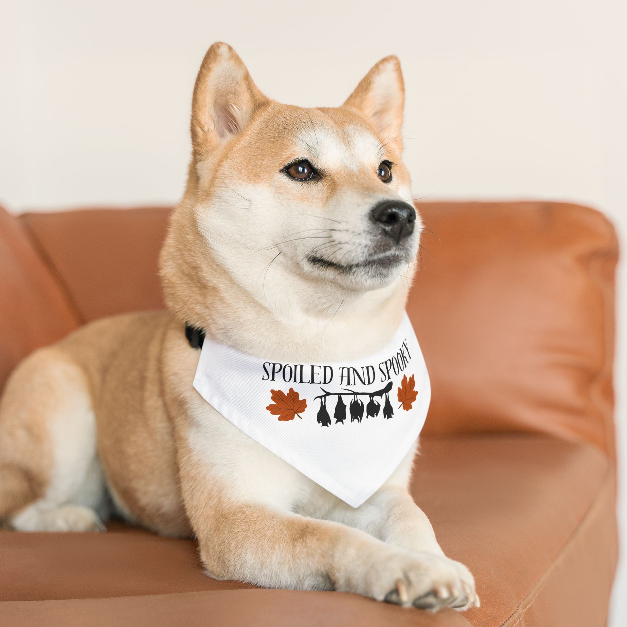 Spooky and Spoiled Pet Bandana Collar