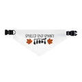 Spooky and Spoiled Pet Bandana Collar
