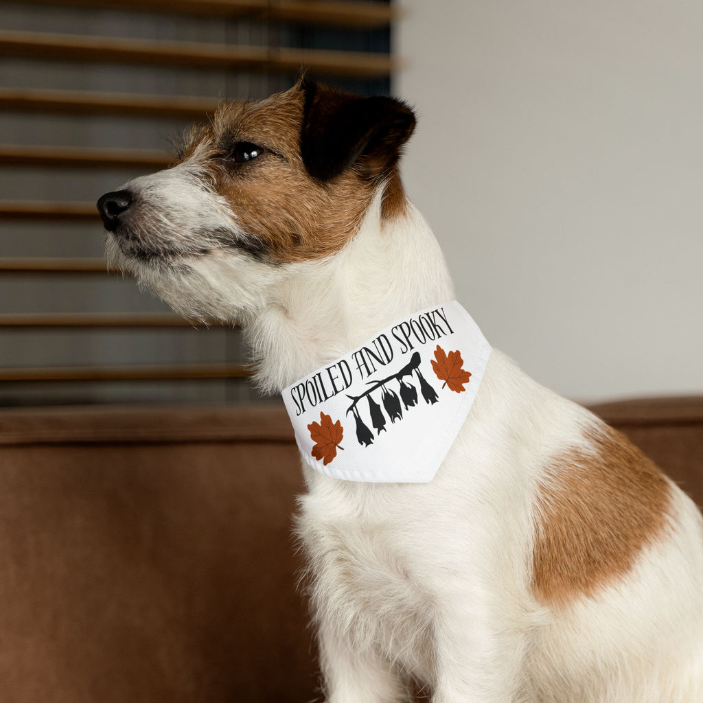 Spooky and Spoiled Pet Bandana Collar