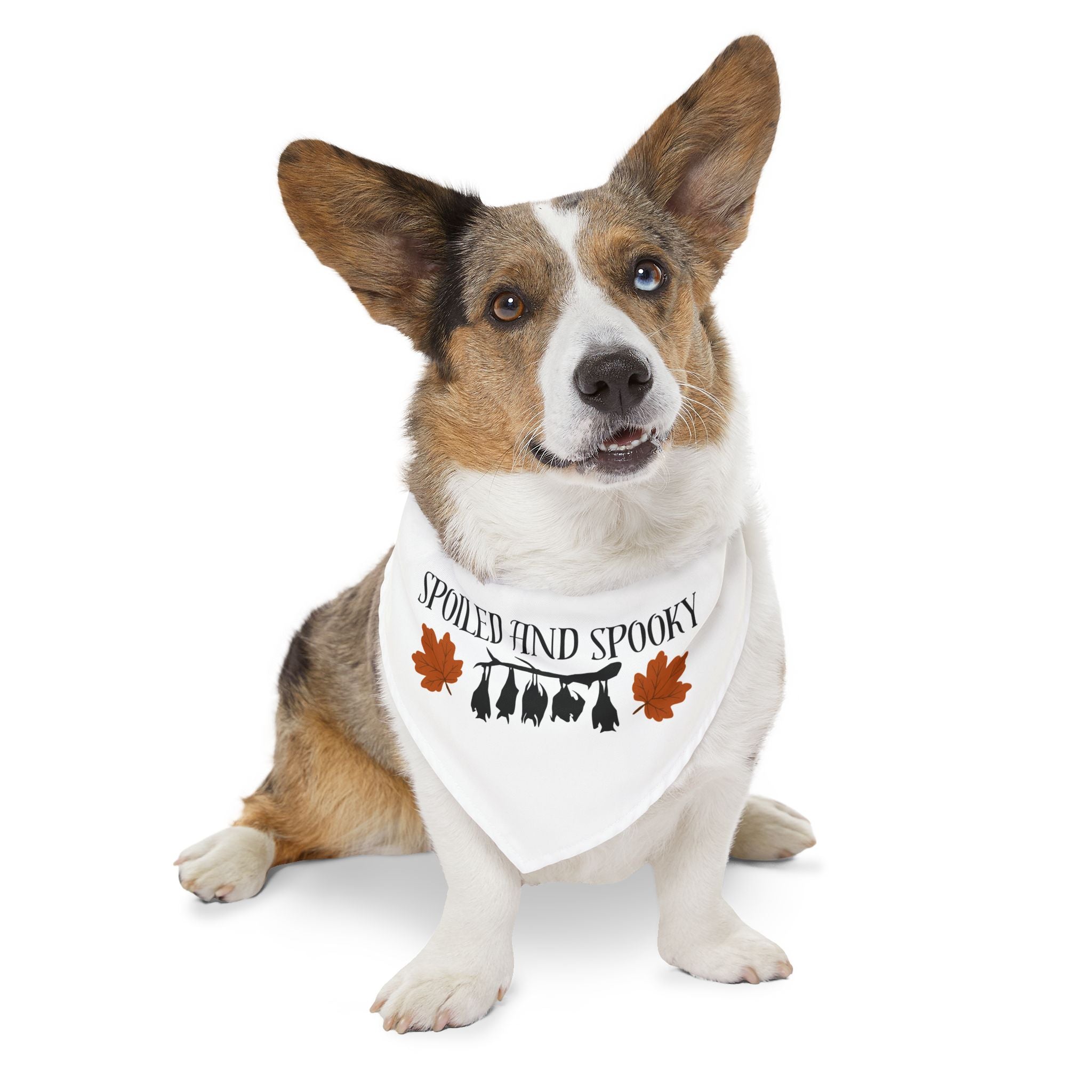 Spooky and Spoiled Pet Bandana Collar