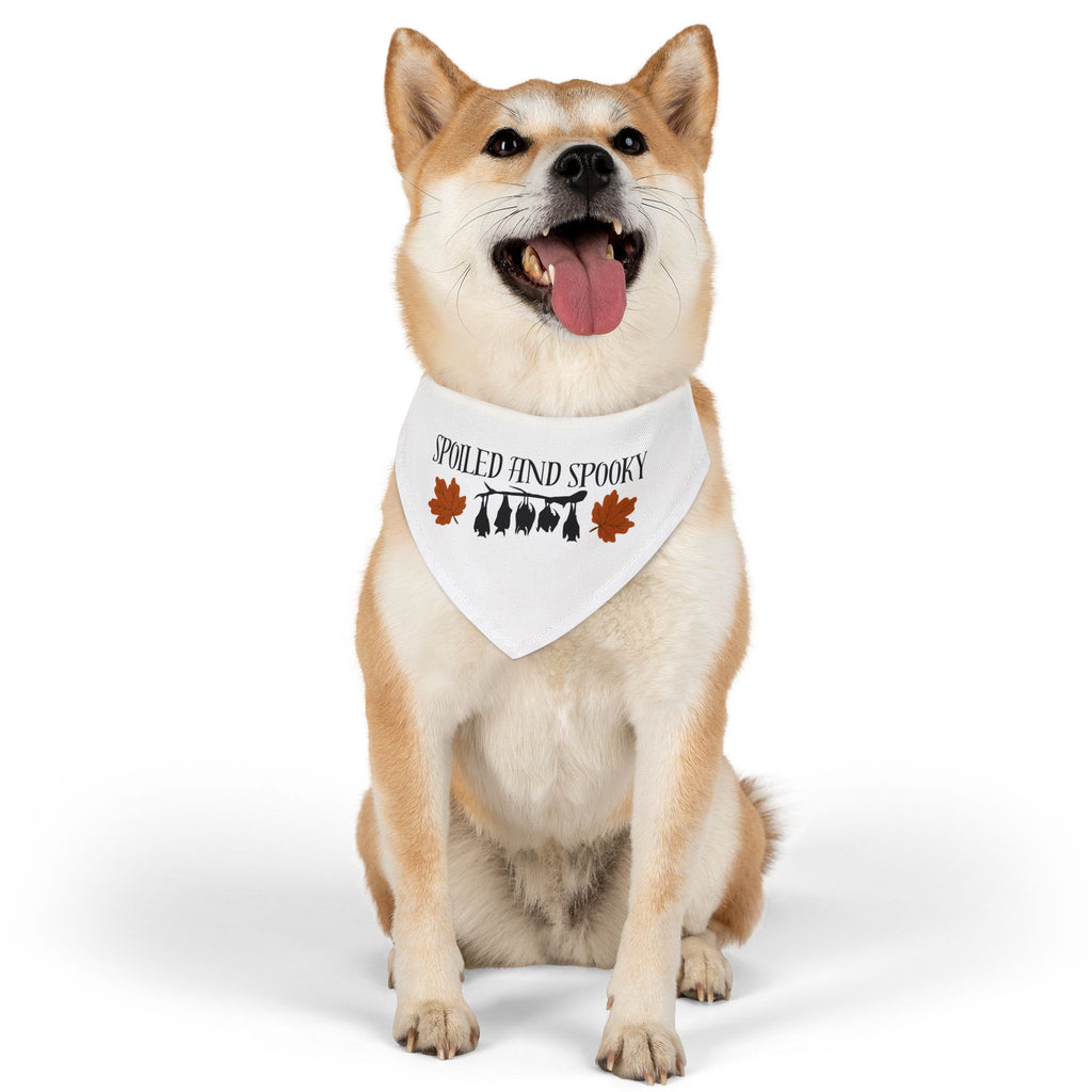 Spooky and Spoiled Pet Bandana Collar