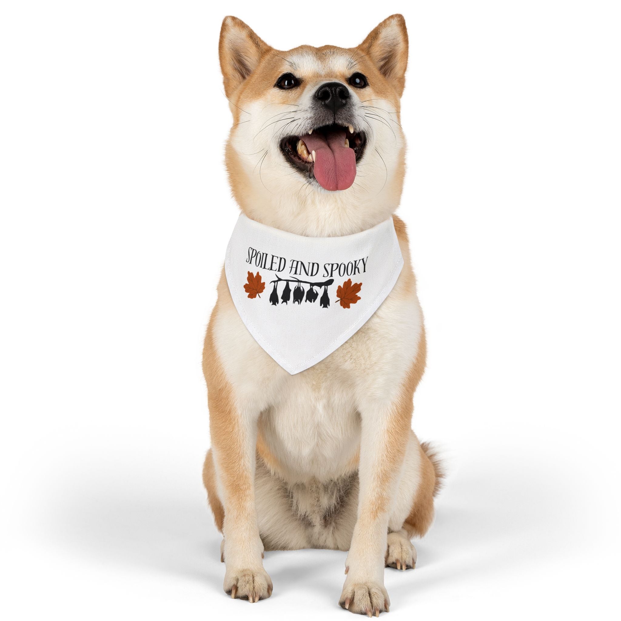 Spooky and Spoiled Pet Bandana Collar